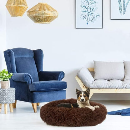 Cat Beds for Indoor Cats