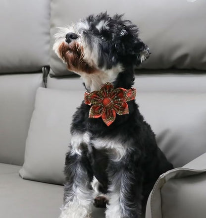 Unique Style Paws Cotton Dog Collar with Bow