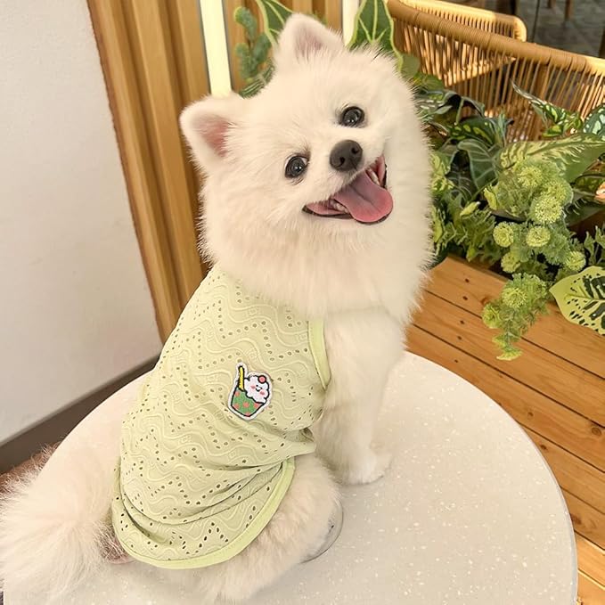 Yanmucy 2 Pieces Dog Summer Clothes Cute Embroidery Dog Striped Tank Top Vest Breathable Puppy Sleeveless Shirt for Small Dogs Cats (Yellow+Green, Medium)