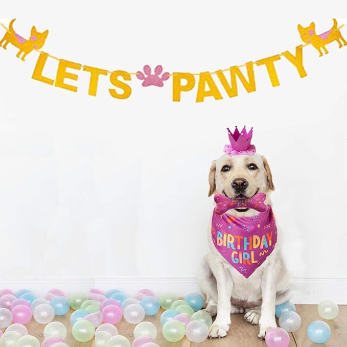 Dog Birthday Bandana Large Dog Birthday Hat Happy Birthday Bone Toy Dog Party Set Party Suppliers Dog Accessories and Pet Decorations (Pink)