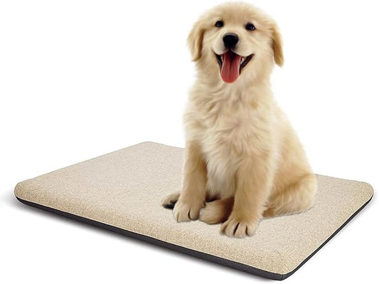 Panku Small 24inch Dog Bed 24x16x2)