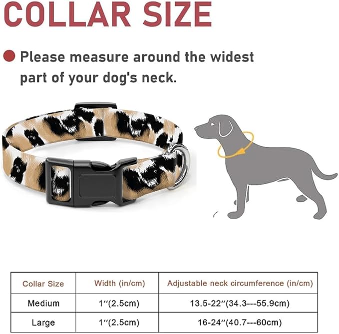 Dog Collar