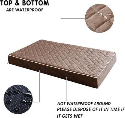 SunStyle Home Orthopedic Dog Beds for Medium Dogs