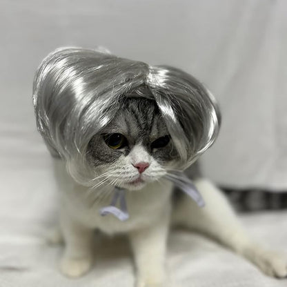 Funny Dog Cat Cosplay Wig, Headwear Apparel Toy, Cat Dress up for Halloween, Christmas, Parties, Festivals, Wigs for Small Medium Dogs and Cats