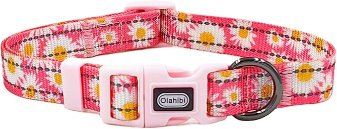 Floral Pattern Dog Collar