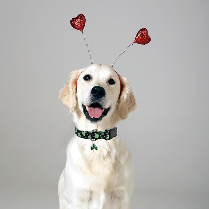 Clover Patterns Dog Collar with Accessories