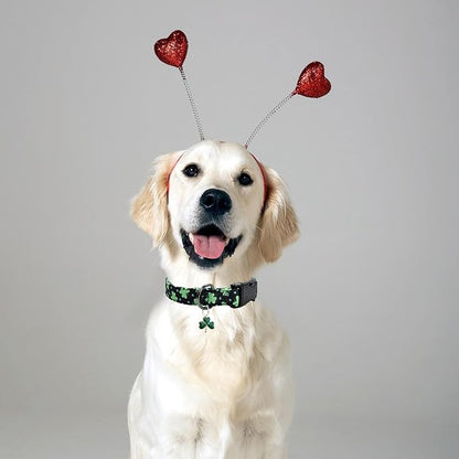 Clover Patterns Dog Collar with Accessories