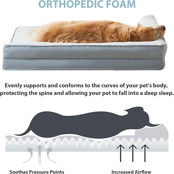 Orthopedic Dog Beds for Extra Large Dogs