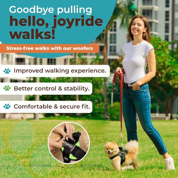 Joyride Harness 2.0 3 Leash