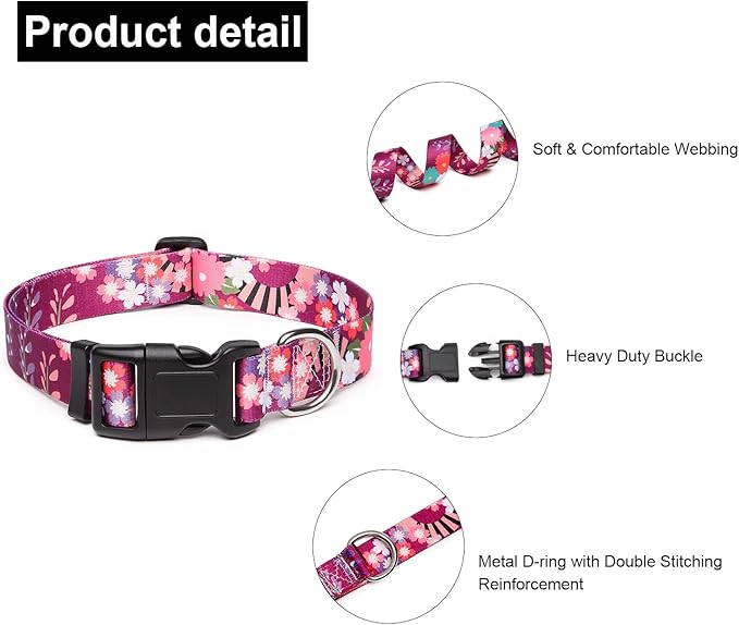 Adjustable Dog Collar with Patterns
