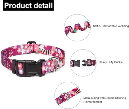 Adjustable Dog Collar with Patterns