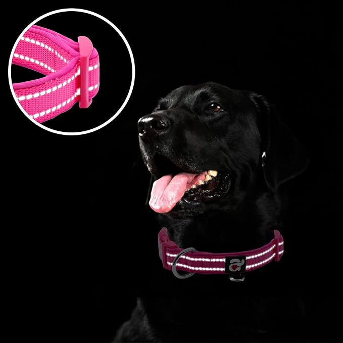 azuza Reflective Dog Collar