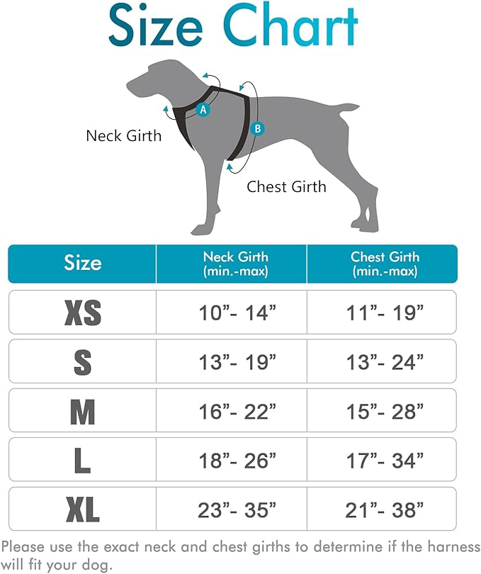 rabbitgoo Dog Harness, No-Pull Pet Harness with 2 Leash Clips, Adjustable Soft Padded Dog Vest, Reflective No-Choke Pet Oxford Vest with Easy Control Handle for Large Dogs, Teal, L