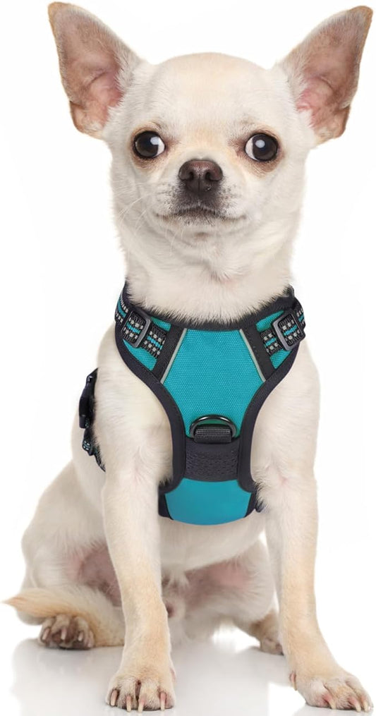 rabbitgoo Dog Harness, No-Pull Pet Harness with 2 Leash Clips, Adjustable Soft Padded Dog Vest, Reflective No-Choke Pet Oxford Vest with Easy Control Handle for Large Dogs, Teal, X-Small