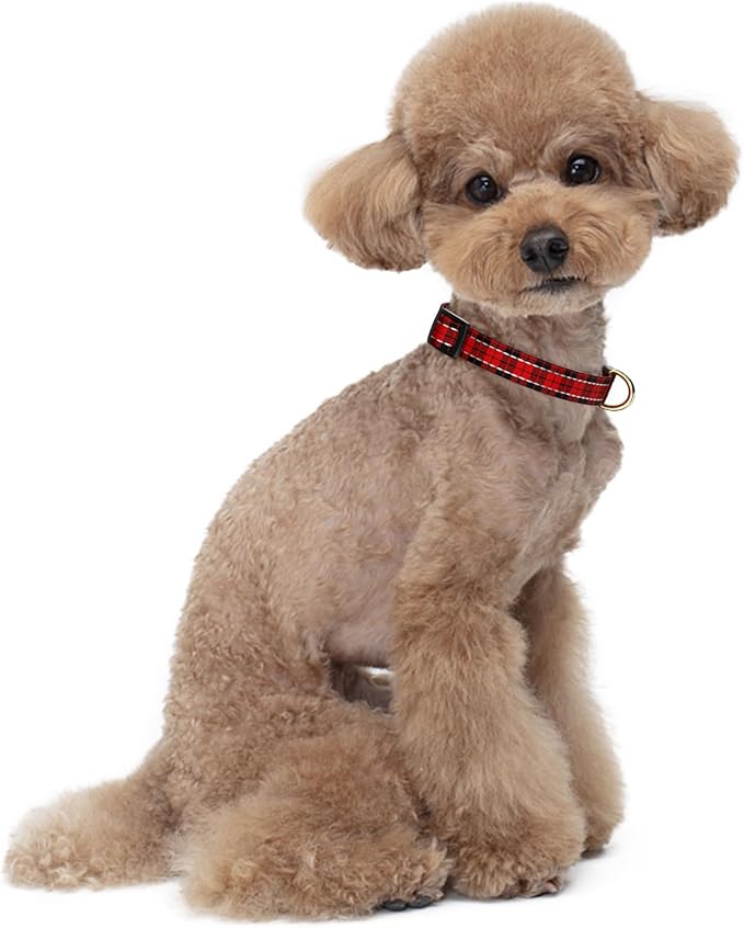 Reflective Dog Collar