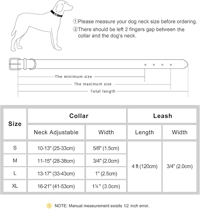 Beirui Soft Padded Leather Dog Collar and Leash Set 4FT Leather