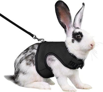 Bunny Harness Escape Proof,Rabbit Leash Set Vest Mesh Walking Training for Small Animal Pets Rat Ferret Squirrel Chinchillas Guinea Pig Bunnies, Black XL