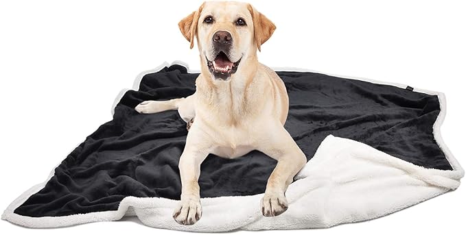 Large Dog Blanket 50x60 inches
