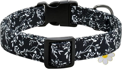 Flower Patterns Dog Collar with Accessories