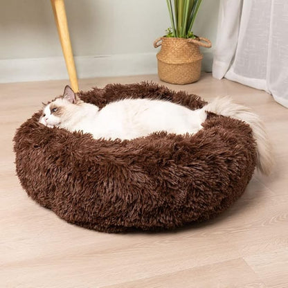 Geizire Cat Beds for Indoor Cats (20 Inch,