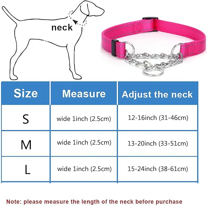 Martingale Dog Collar with Stainless Steel Chain and Leash Set 5FT Double