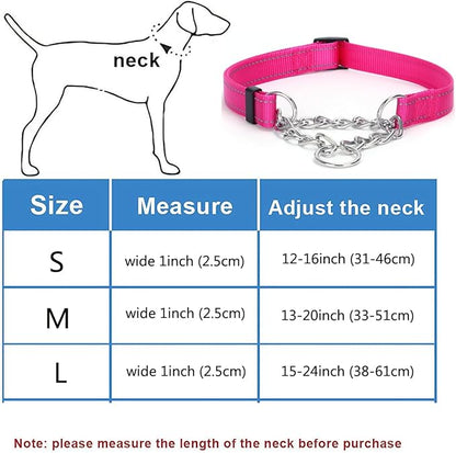 Martingale Dog Collar with Stainless Steel Chain and Leash Set 5FT Double