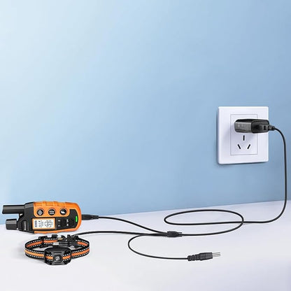 Dog Shock Collar Charger 12-in-1 Training 1M