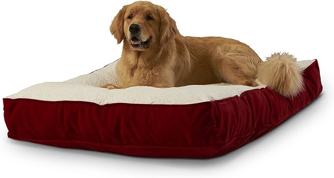 Buster Deluxe Reversible Pillow Style Sherpa Dog Bed (48 x 36 in.)