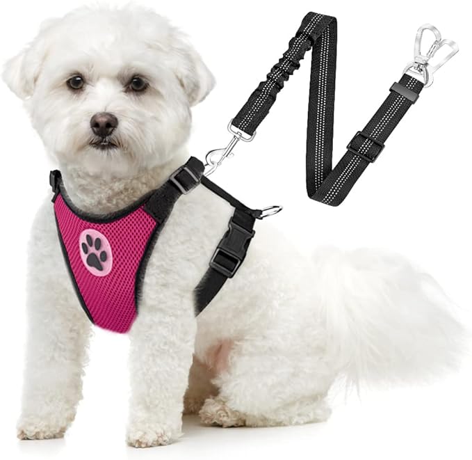 SlowTon Dog Seat Belt Harness for Car, Dog Car Harness Adjustable Mesh Breathable & Dog Seatbelt Safety Tether with Elastic Bungee for Small Medium Large Pets(Fuchsia, Double Clip, L)