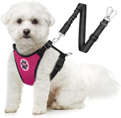 SlowTon Dog Seat Belt Harness for Car, Dog Car Harness Adjustable Mesh Breathable & Dog Seatbelt Safety Tether with Elastic Bungee for Small Medium Large Pets(Fuchsia, Double Clip, L)