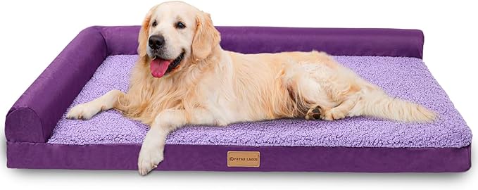 Patas Lague Orthopedic XXL Dog Bed for Extra Large Dogs 48''X30''