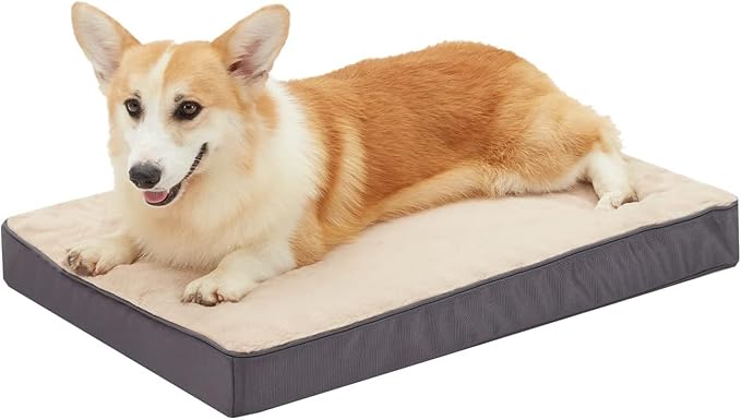 Dog Bed 30x20x3 in