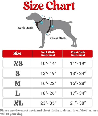 rabbitgoo Dog Harness, No-Pull Pet Harness with 2 Leash Clips, Adjustable Soft Padded Dog Vest, Reflective No-Choke Pet Oxford Vest with Easy Control Handle for Large Dogs, Red & Teal, S