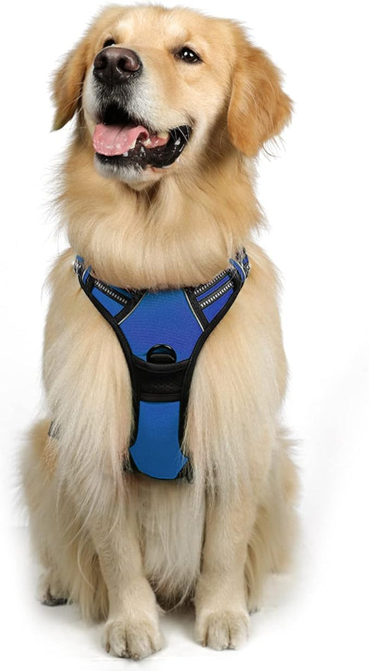 rabbitgoo Dog Harness, No-Pull Pet Harness with 2 Leash Clips, Adjustable Soft Padded Dog Vest, Reflective No-Choke Pet Oxford Vest with Easy Control Handle for Large Dogs, Dazzling Blue, L