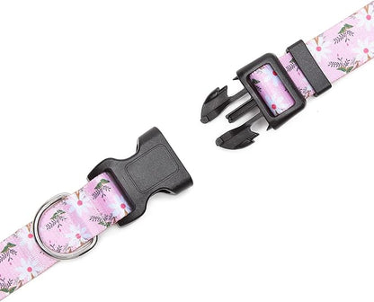 Adjustable Dog Collar with Patterns