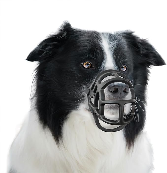 Dog Muzzle Size3)
