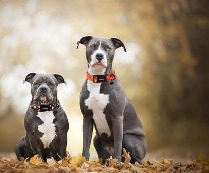 DOGWONG Cotton Dog Collar