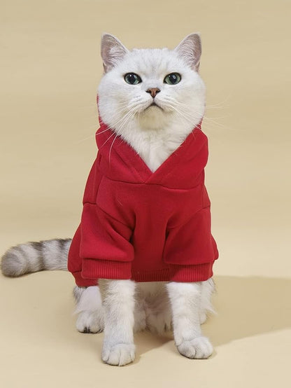 QWINEE Letter Graphic Cat Hoodie Breathable Stretchy Sweatshirts