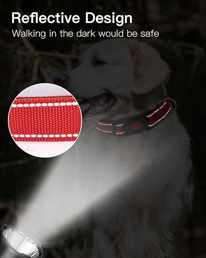 Reflective Dog Collar