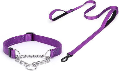 Martingale Dog Collar with Stainless Steel Chain and Leash Set 5FT Double