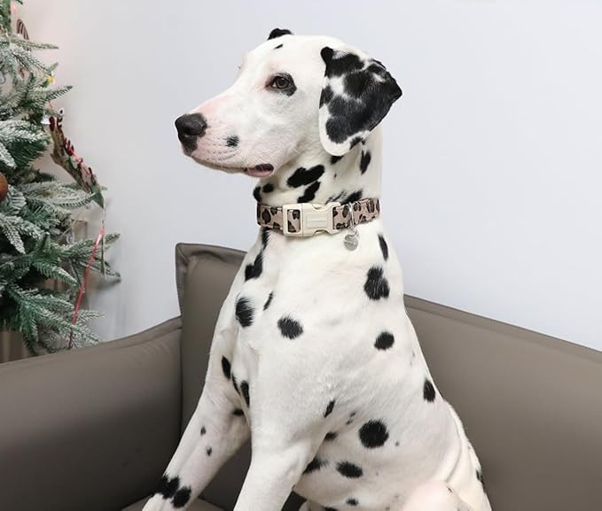 DOGWONG Cotton Dog Collar