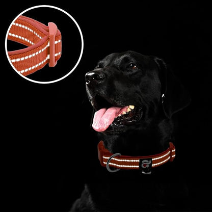 azuza Reflective Dog Collar