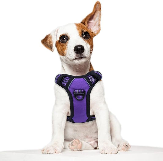 BUMBIN Tactical Dog Harness for Small Dogs No Pull, Famous TIK Tok No Pull Puppy Harness, Fit Smart Reflective Pet Walking Harness for Training, Adjustable Dog Vest Harness with Handle Purple XS