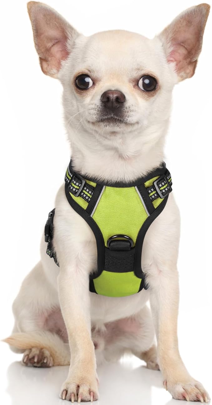 rabbitgoo Dog Harness, No-Pull Pet Harness with 2 Leash Clips, Adjustable Soft Padded Dog Vest, Reflective No-Choke Pet Oxford Vest with Easy Control Handle for Small Dogs, Wild Lime, XS