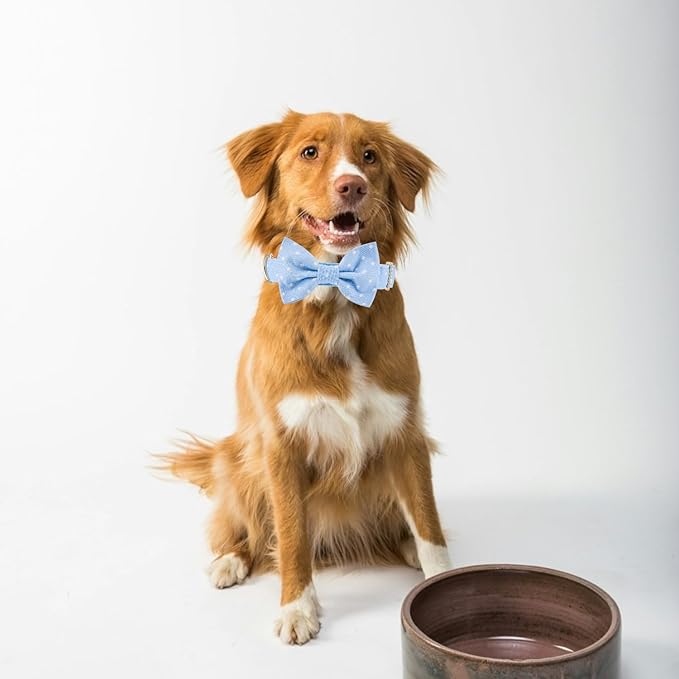 Adjustable Pet Bow Tie and Dog Collar for Small Medium Large Dogs
