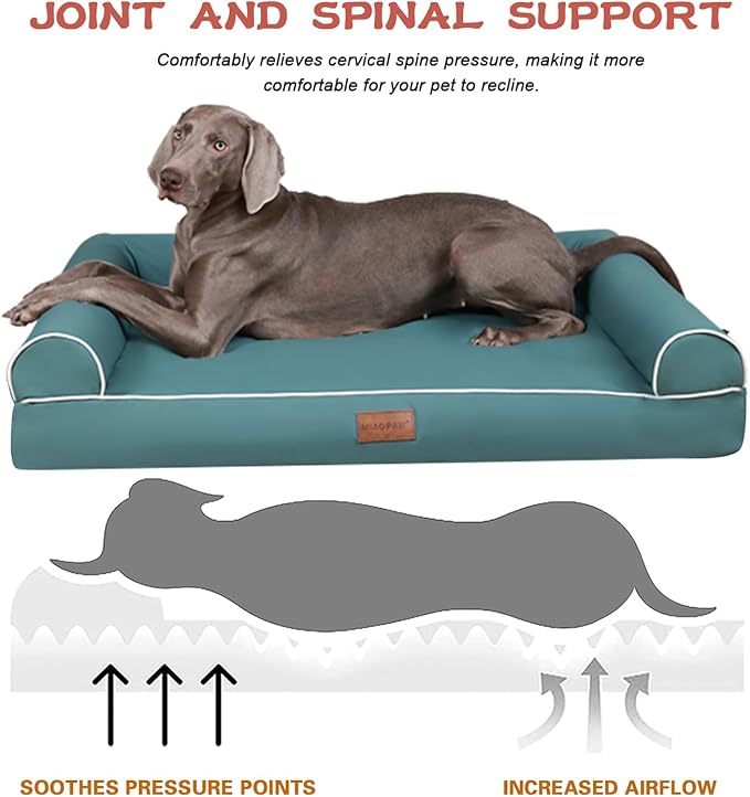 MIAO PAW Waterproof Dog Beds for Large Dogs