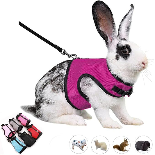 Rabbit Leash and Harness Set Escape Proof,Bunny Leash Vest Mesh Walking Training for Small Animal Pets Rat Ferret Squirrel Chinchillas Guinea Pig Bunnies, Hot Pink XL