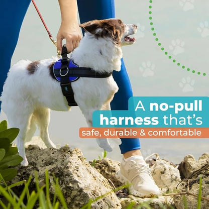 Joyride Harness 2.0 - The Original Side Ring No Pull Dog Harness - No Choke, Escape Proof, Reflective, 3 Leash Clips, Quick Fit Pet Vest - Easy Walks & Training - for Small, Medium & Large Dogs