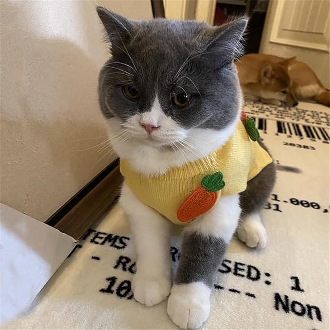 Dog's Soft and Stretchy Sweater with Carrot Velvet Pattern