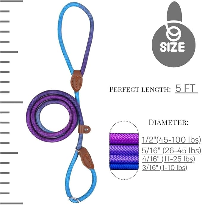 Slip Leads for Dogs (5 Foot 3/16")